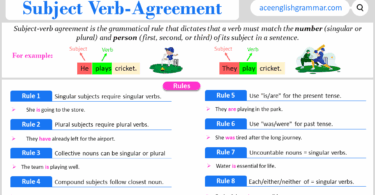 Subject Verb Agreement