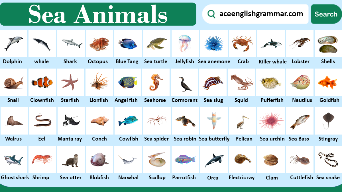 50 Most Popular Sea Animals Names With Pictures - AceEnglishGrammar