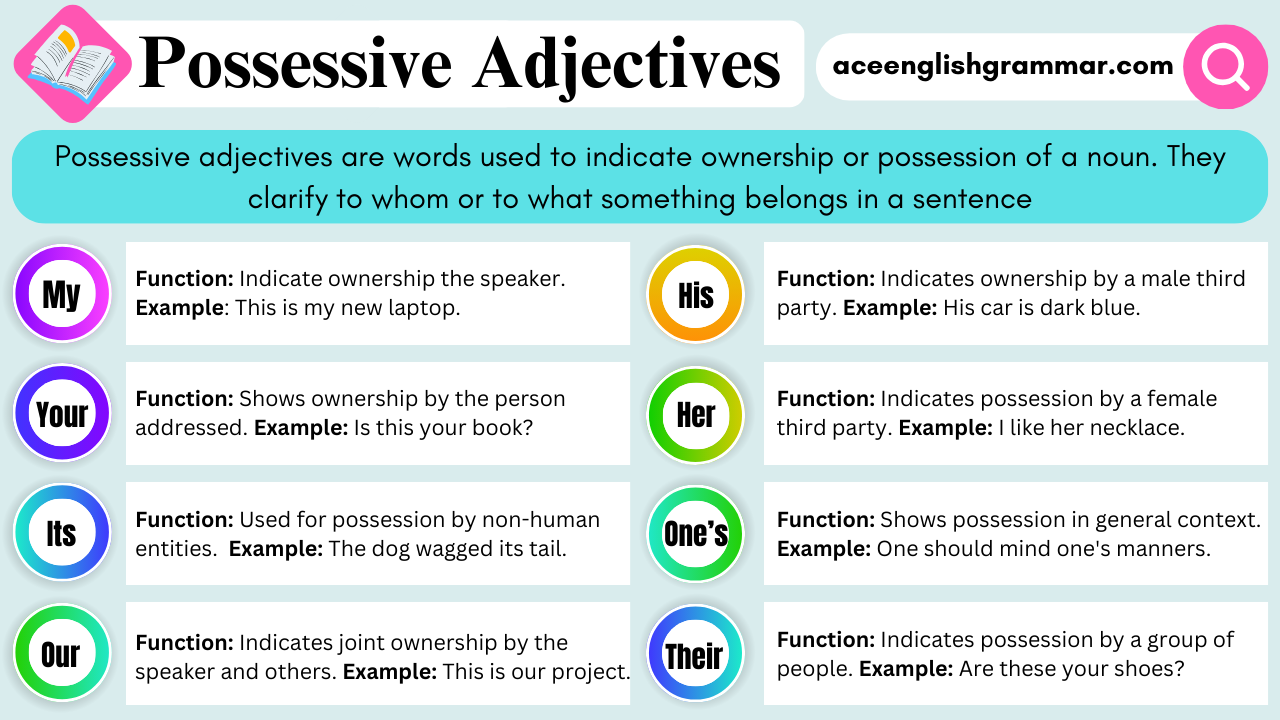 Possessive Adjectives with Examples - AceEnglishGrammar