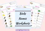 Birds Names Worksheets and Exercises