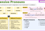 Intensive Pronouns – Definition and Examples