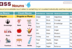Mass Nouns – Definition, Rules, and Examples