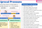 Reciprocal Pronouns Definition, Rules and Examples