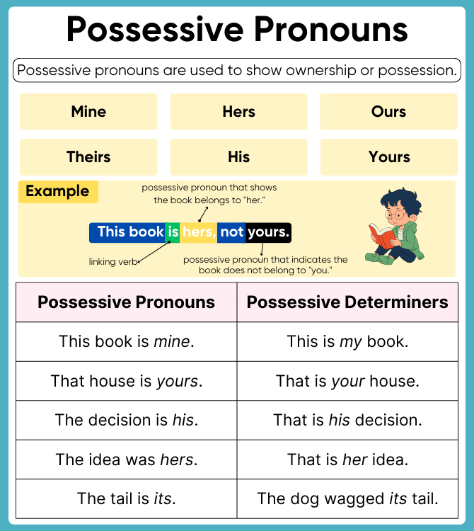 What Are Possessive Pronouns? Definition and Examples